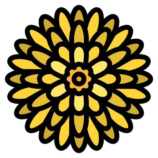 Chrysanthème